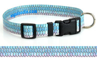 Tarpon Personalized Dog Collar