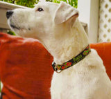 Tropical Reef Fish Purple Personalized Dog Collar