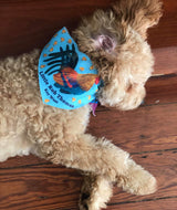 Fluffy brown dog wearing a personalized custom dog bandana with chickens on it.