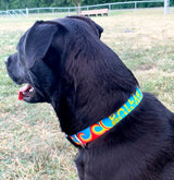 Waves in Turquoise/Orange Personalized Dog Collar