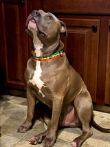 Reggae Peace, Love & Paws Personalized Dog Collar