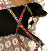 Frangipani Dog Collar Purple