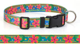 Plumeria with Border Dog Collar Teal & Pink