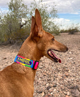 Rainbow Viscaya Personalized Martingale Dog Collar