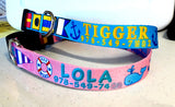 Seashore Pink Personalized Martingale