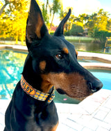 Halloween Orange & Black Plaid Dog Collar
