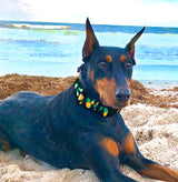 Pineapples on Black Personalized Dog Collar