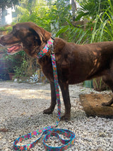 Frangipani Turquoise Personalized Martingale