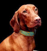 Triggerfish Pattern Personalized Dog Collar